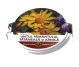 Unguent untul pamantului tataneasa arnica 70ml - HYPERICUM