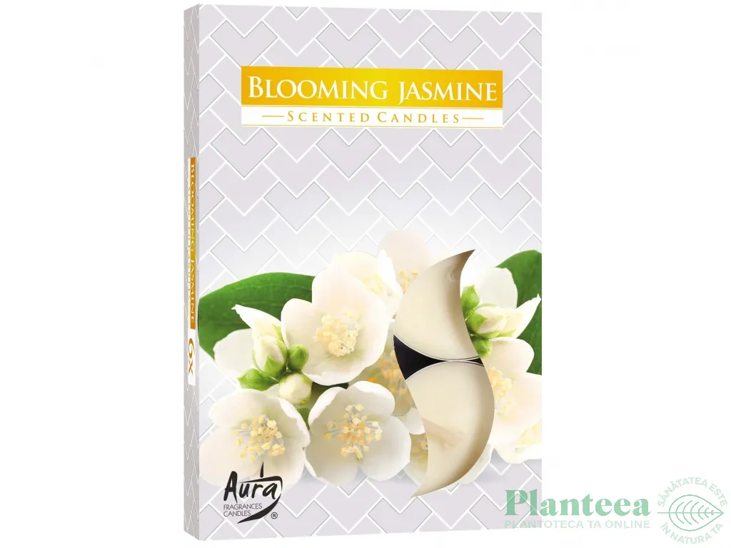 Lumanari pastila parfumate 4h iasomie inflorita set 6b - AURA