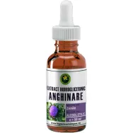 Extract hidrogliceric anghinare 50ml - HYPERICUM