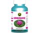 Armurariu 60cps - HYPERICUM