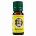 Ulei esential busuioc 10ml - SOLARIS