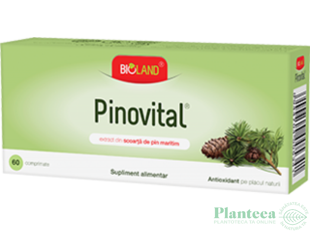 Pinovital 60cp - BIOLAND