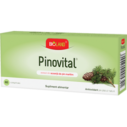 Pinovital 60cp - BIOLAND