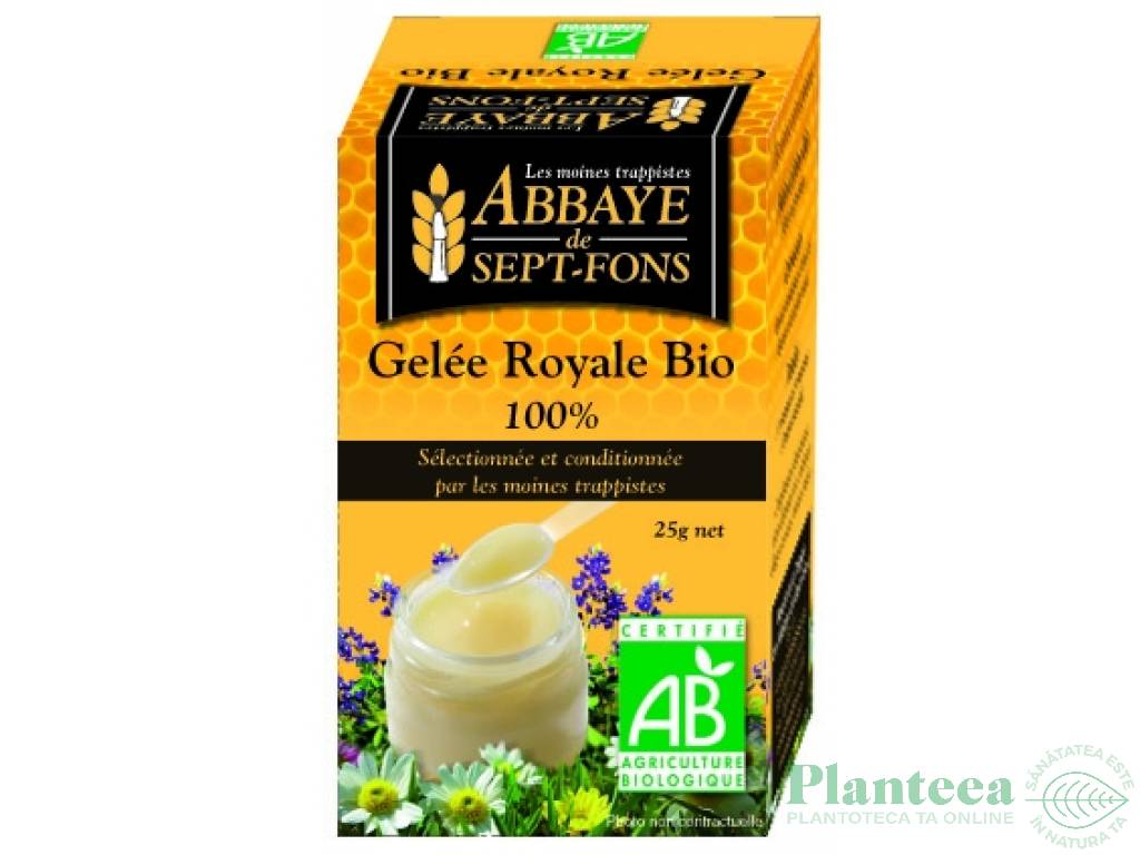 Laptisor matca bio 25g - ABBAYE