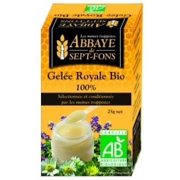 Laptisor matca bio 25g - ABBAYE