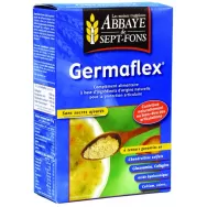 Supliment articulatii Germaflex 200g - ABBAYE