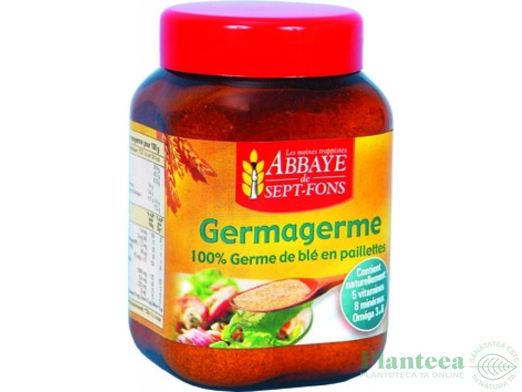 Fulgi germeni grau Germagerme 250g - ABBAYE