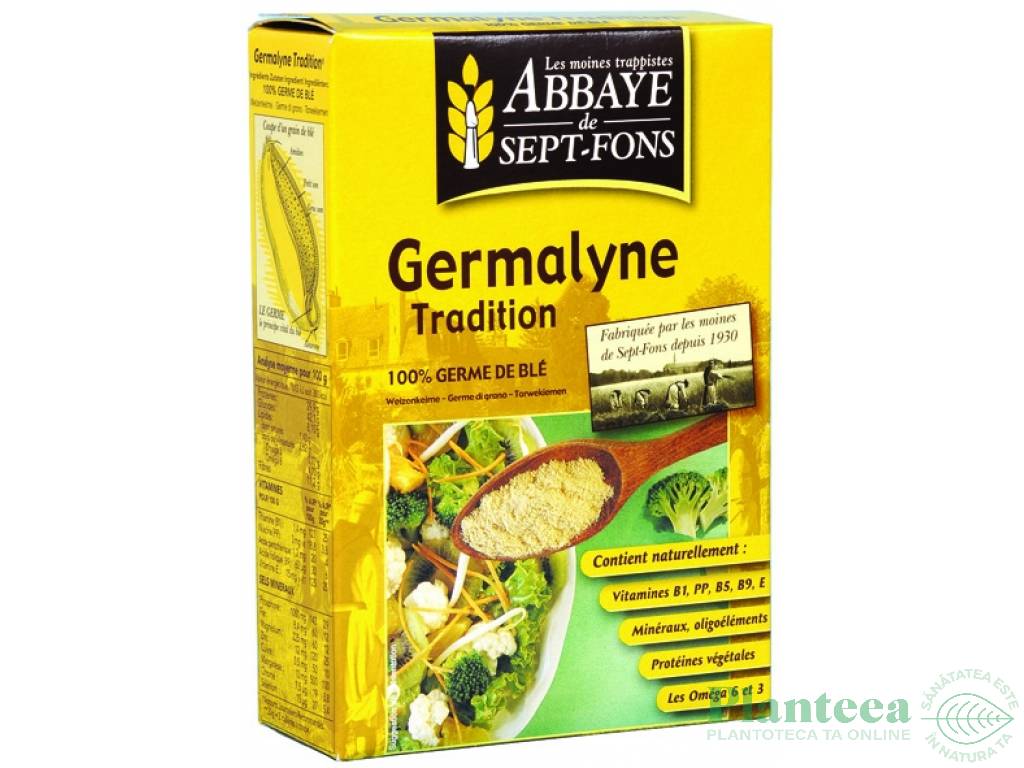 Fulgi germeni grau Germalyne tradition 250g - ABBAYE