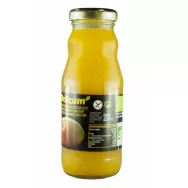 Nectar mango eco 200ml - DELIZUM