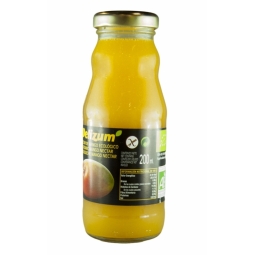 Nectar mango eco 200ml - DELIZUM