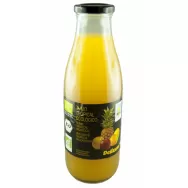 Suc Tropical eco 750ml - DELIZUM