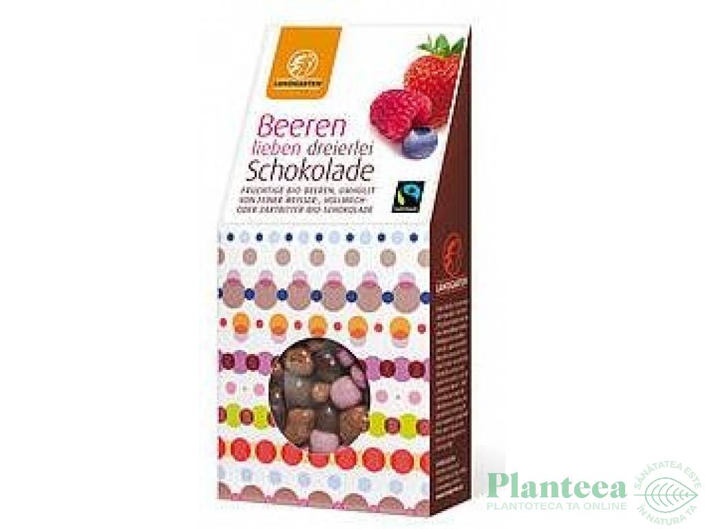Boabe fructe padure invelite mix ciocolata eco 90g - LANDGARTEN