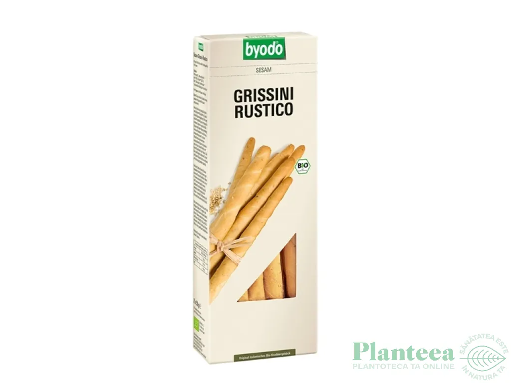 Grisine rustice susan eco 100g - BYODO