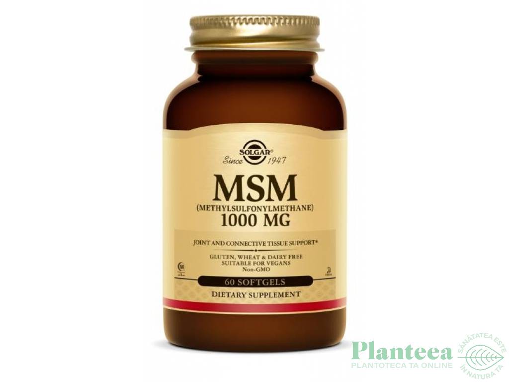 MSM 1000mg 60cp - SOLGAR