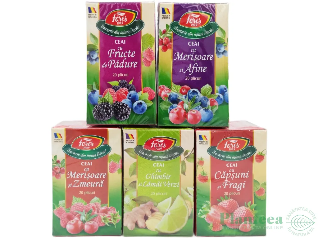 Set 5 Ceaiuri cu fructe Bucuria Gustului top seller 5x20dz - FARES