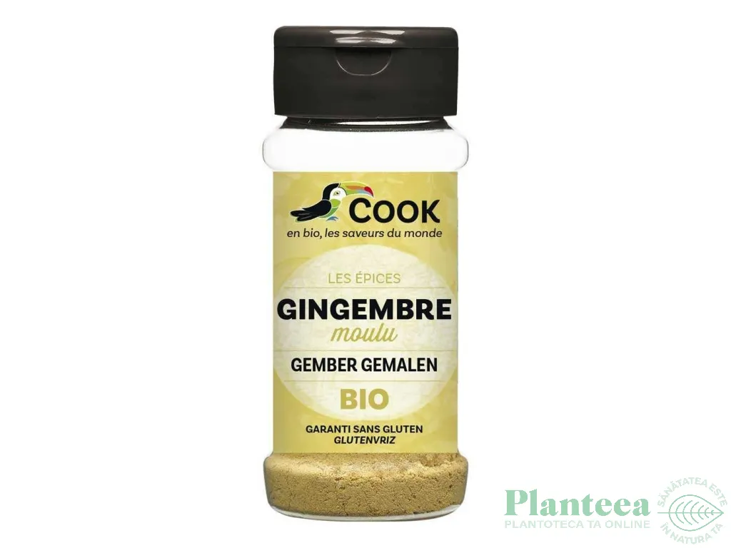 Condiment ghimbir macinat bio 30g - COOK