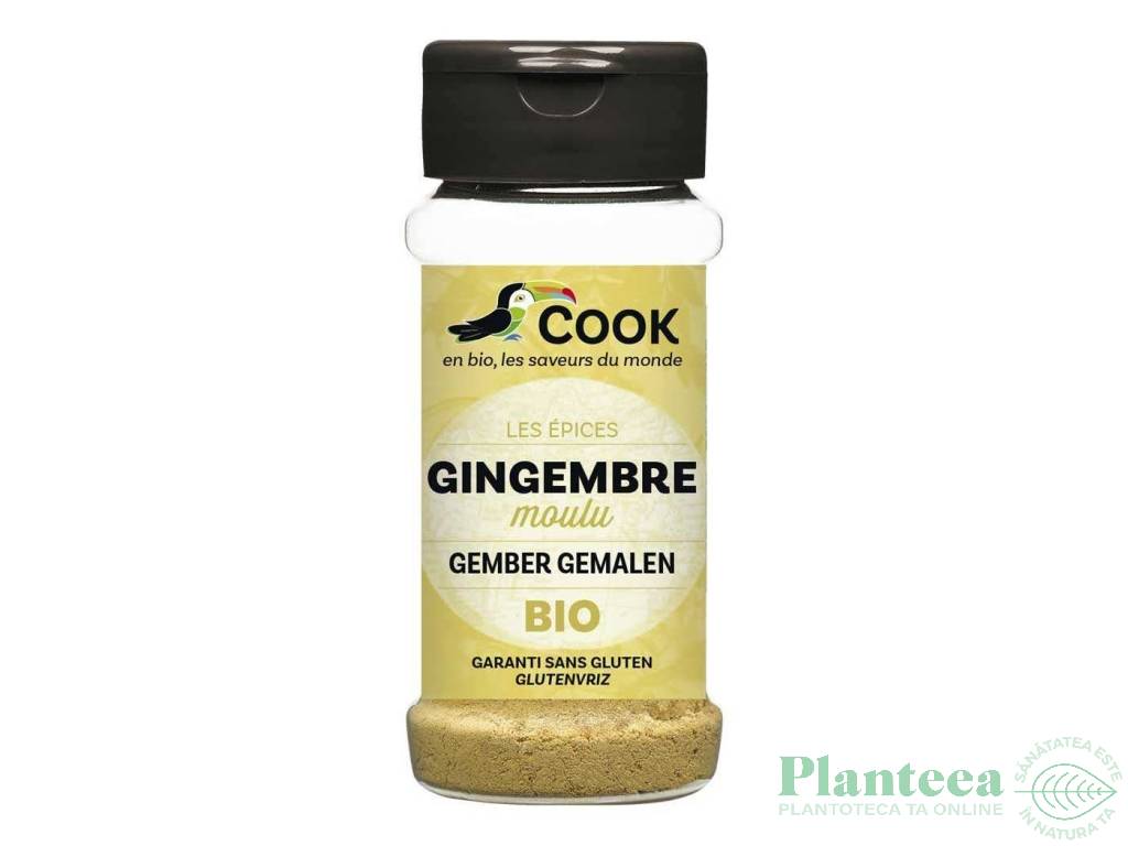 Condiment ghimbir macinat bio 30g - COOK