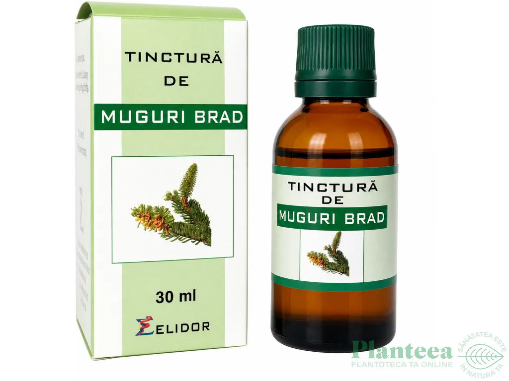 Tinctura muguri brad 30ml - ELIDOR