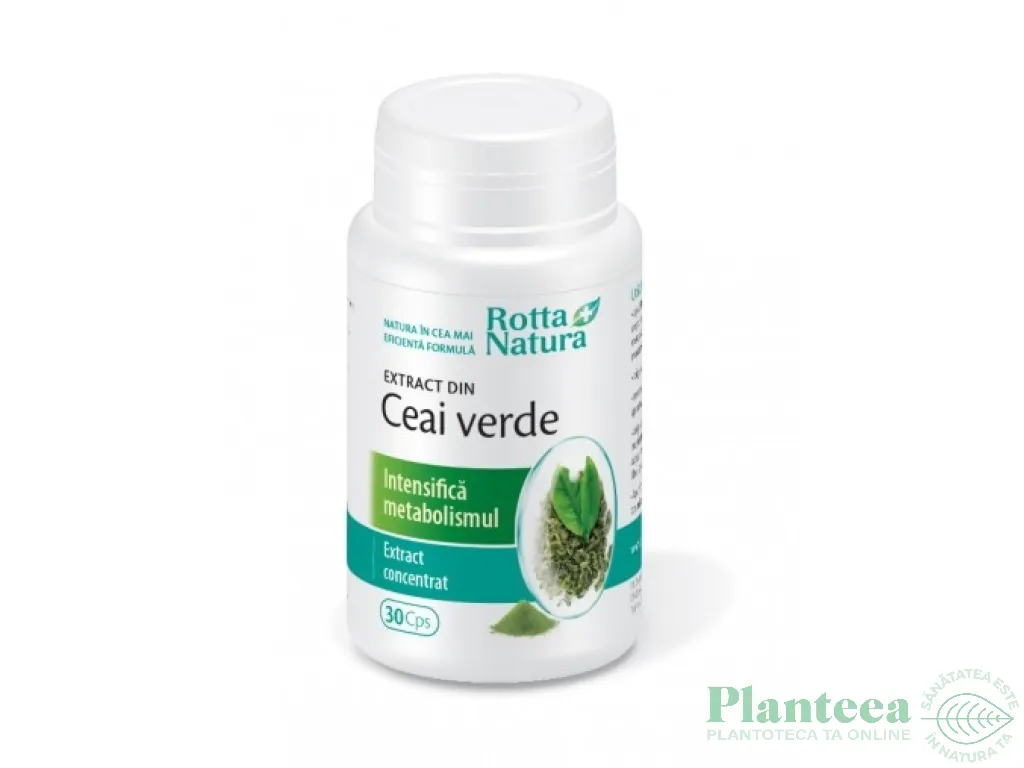 Ceai verde extract 30cps - ROTTA NATURA
