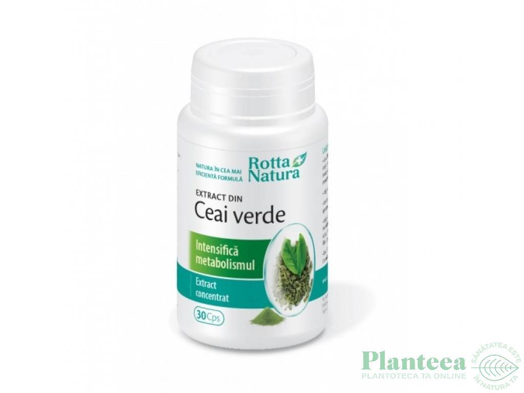 Ceai verde extract 30cps - ROTTA NATURA