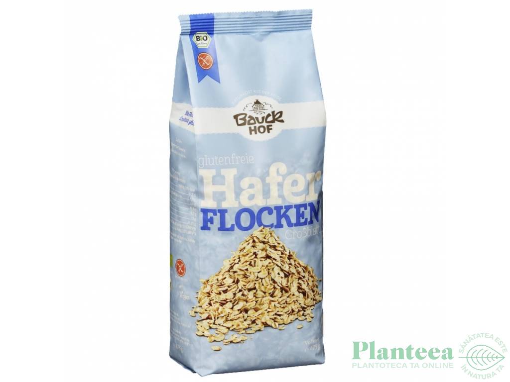 Fulgi ovaz mari fara gluten eco 475g - BAUCK HOF