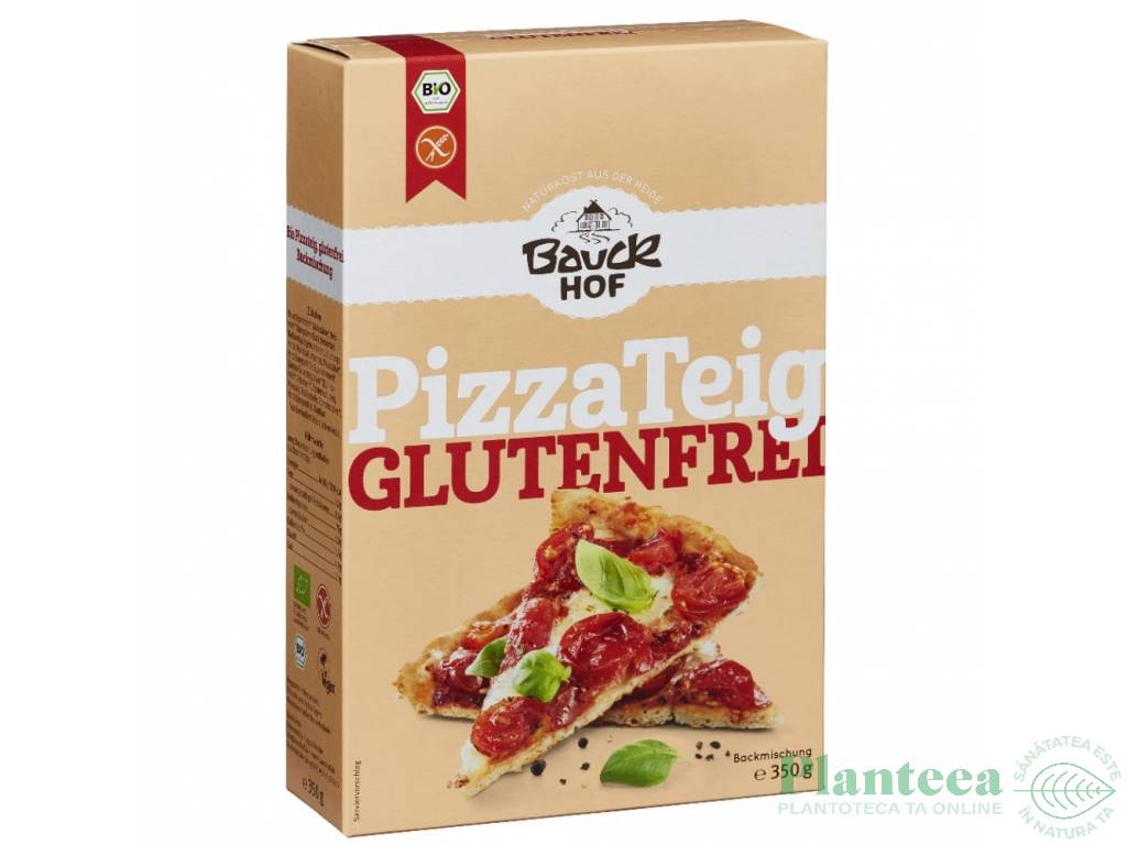 Premix blat pizza fara gluten eco 350g - BAUCK HOF