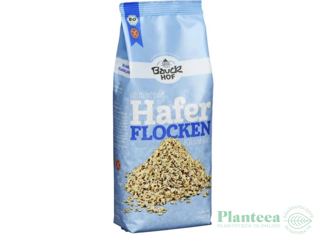 Fulgi ovaz mici fara gluten eco 475g - BAUCK HOF