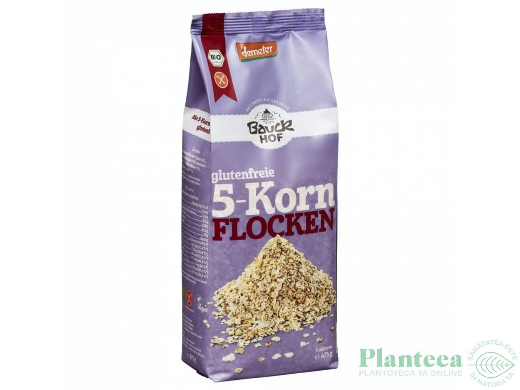 Fulgi 5cereale fara gluten eco 475g - BAUCK HOF