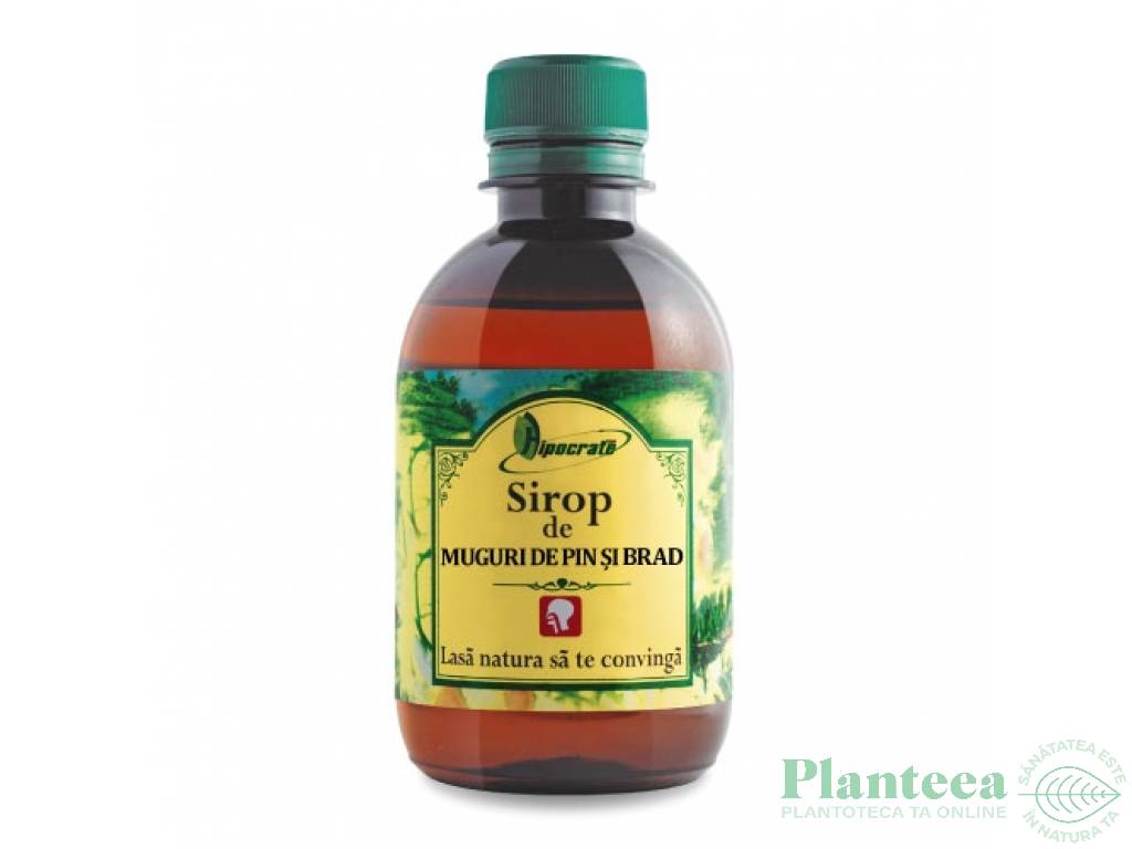 Sirop muguri pin brad 250ml - HIPOCRATE