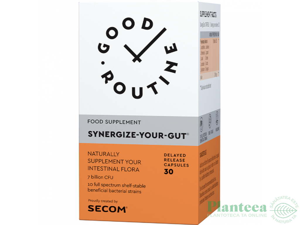 Synergize Your Gut 30cps - GOOD ROUTINE