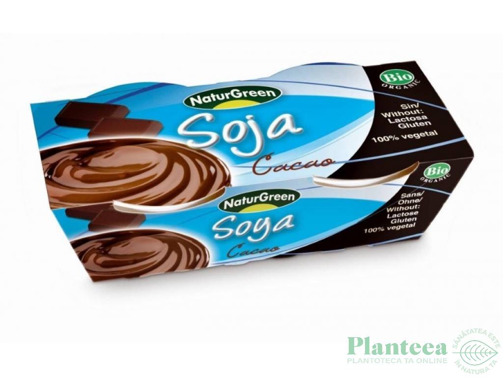 Desert crema soia cacao eco 2x125g - NATURGREEN