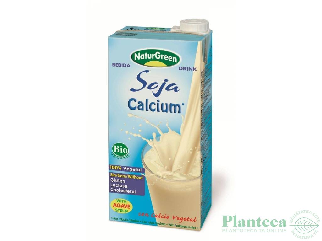 Lapte soia Ca eco 1L - NATURGREEN