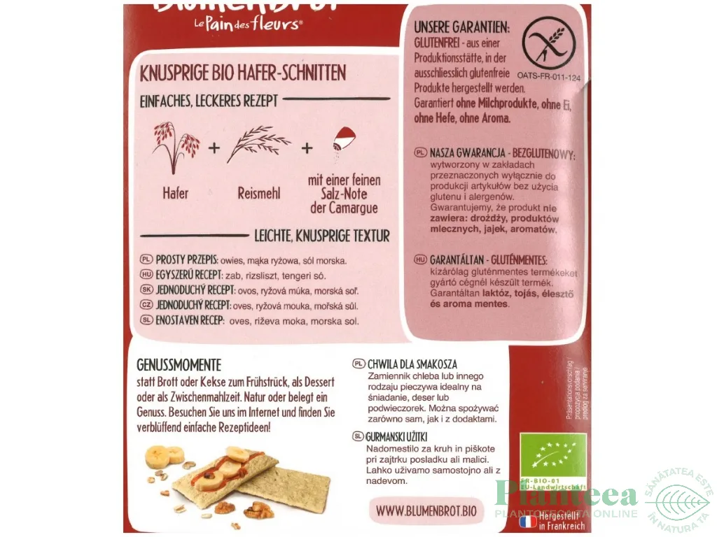 Paine crocanta ovaz fara gluten eco 150g - LE PAIN DES FLEURS