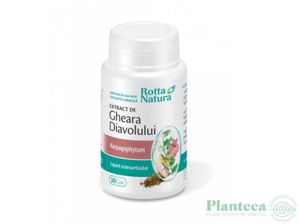 Gheara diavolului extract 30cps - ROTTA NATURA