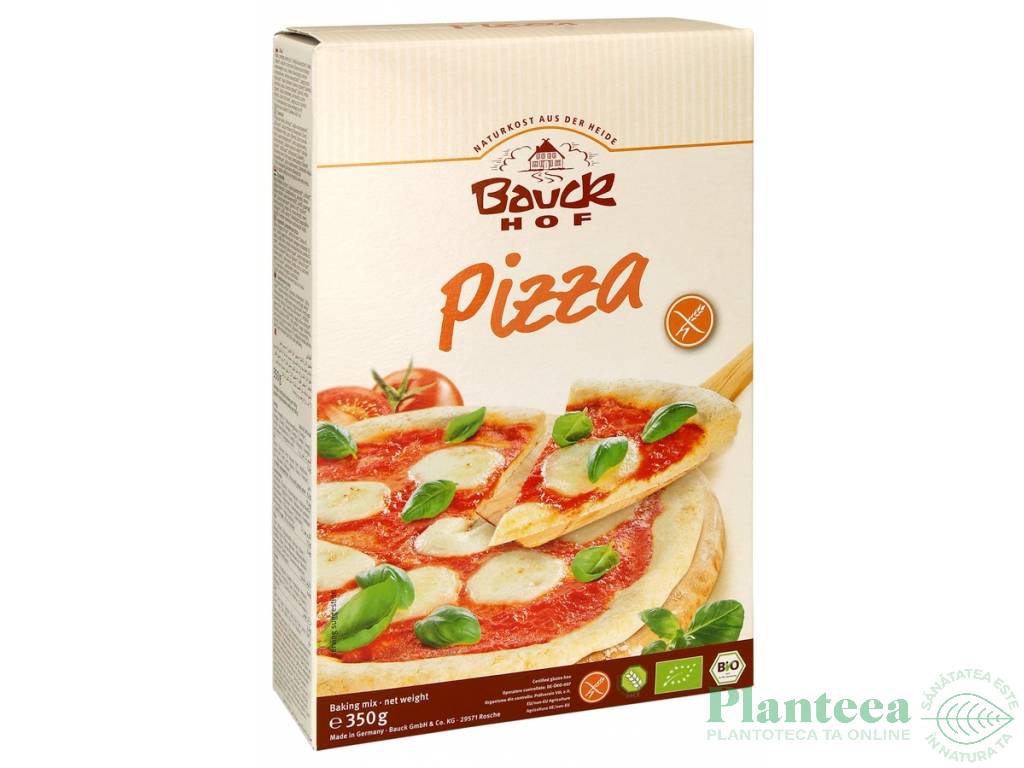 Premix blat pizza fara gluten international 350g - BAUCK HOF