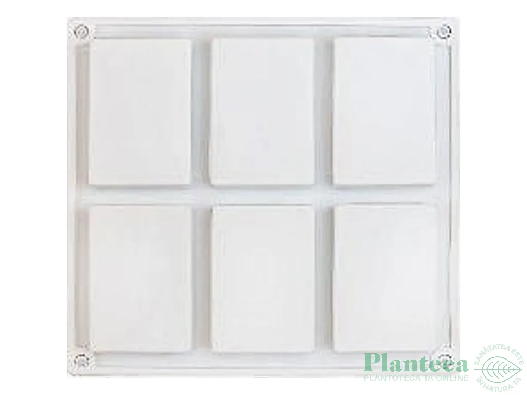 Forma sapun Rectangular 6cavitati - ELLEMENTAL