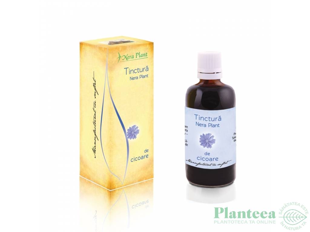 Tinctura cicoare 50ml - NERA PLANT