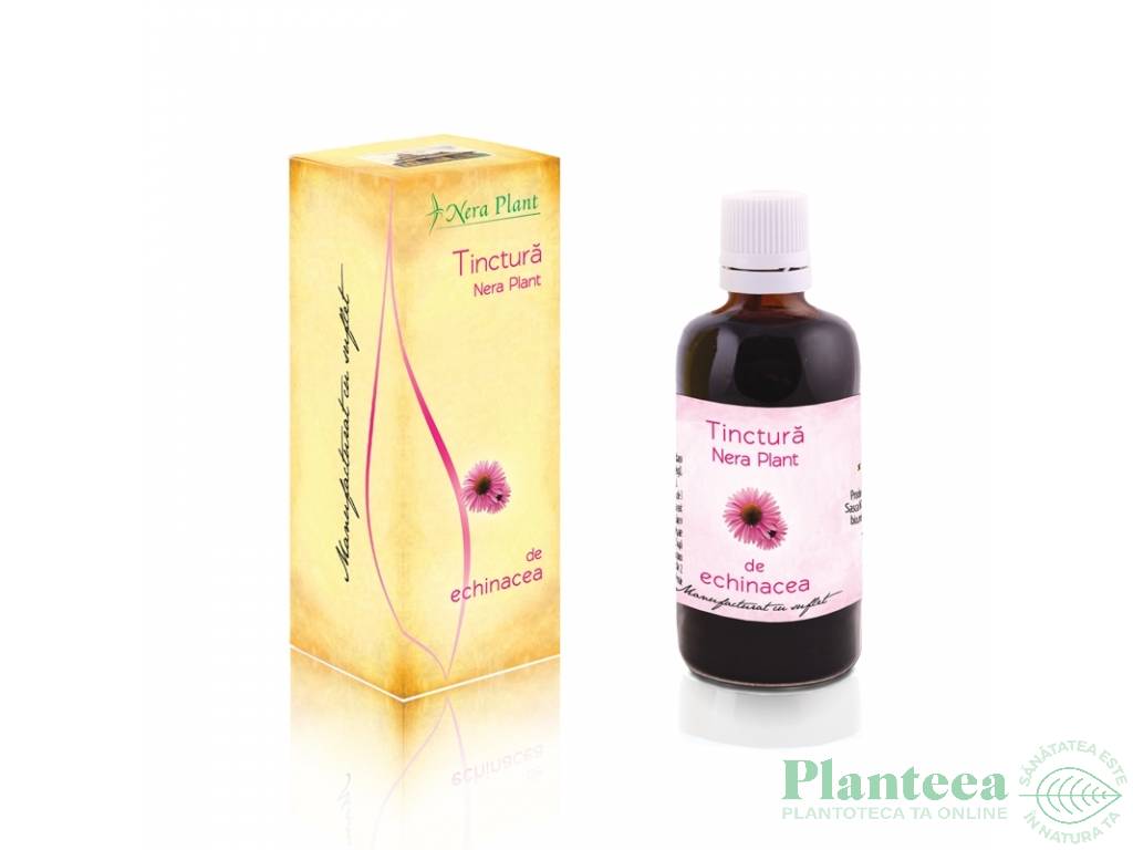 Tinctura echinaceea 50ml - NERA PLANT