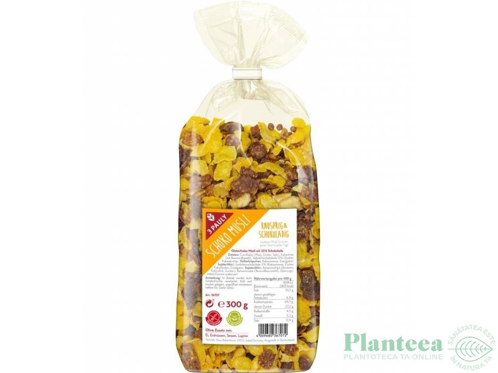 Musli ciocolata fara gluten 300g - 3 PAULY