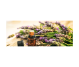 Kit 4 uleiuri esentiale Sprijin PsihoEmotional 4x10ml - SOLARIS