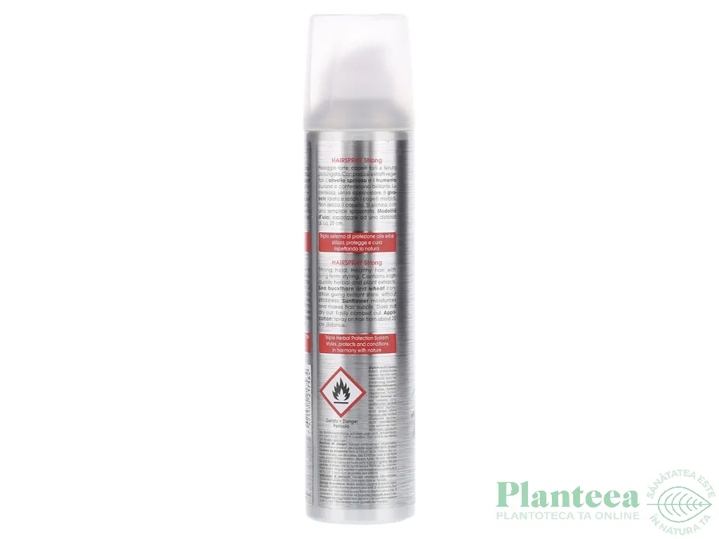 Spray par fixare puternica aerosol 250ml - RAUSCH