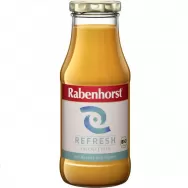 Smoothie Refresh ananas ghimbir eco 240ml - RABENHORST