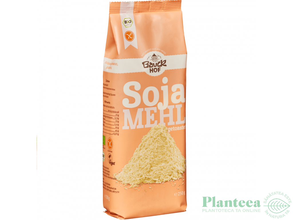 Faina soia prajita fara gluten eco 250g - BAUCK HOF