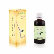 Tinctura paducel frunze flori 50ml - NERA PLANT