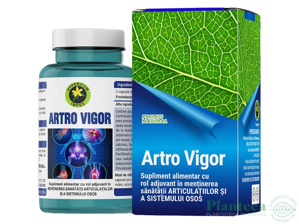 Artro vigor 60cps - HYPERICUM