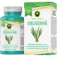 Obligeana 60cps - HYPERICUM