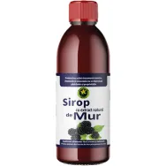 Sirop mur cu zahar invertit 500ml - HYPERICUM