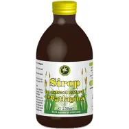 Sirop patlagina cu zahar invertit 250ml - HYPERICUM