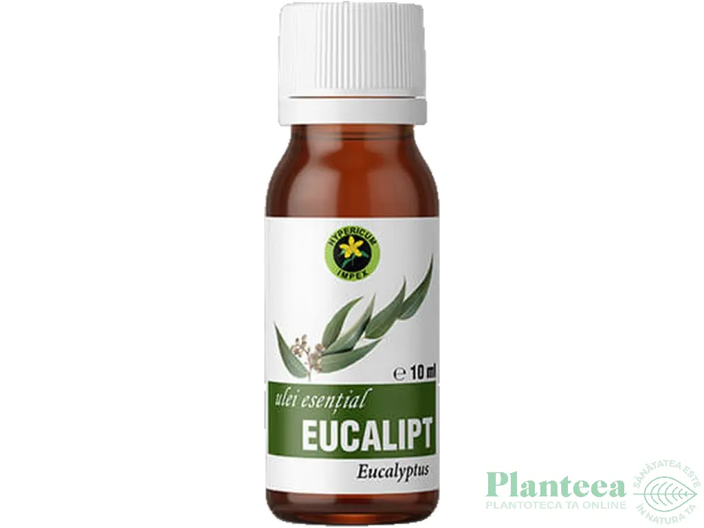 Ulei esential eucalipt 10ml - HYPERICUM
