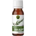 Ulei esential eucalipt 10ml - HYPERICUM
